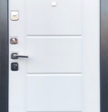 Входные металлические двери Шелтер Токио
